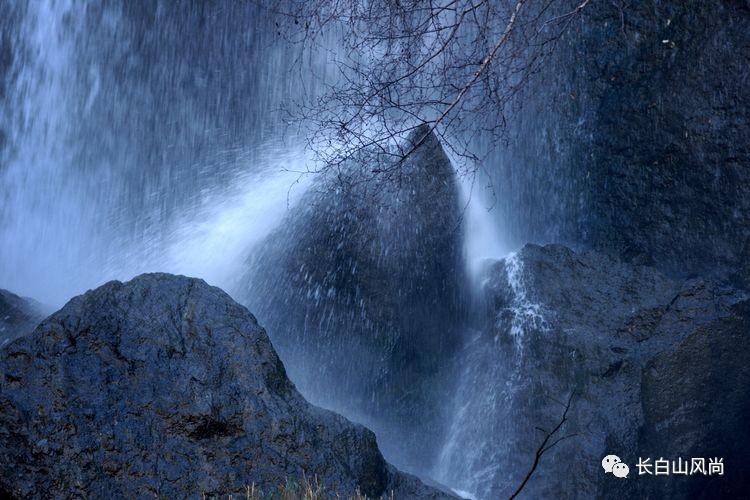 (新春走基层)福建周宁:“花”样致富路 助力乡村振兴