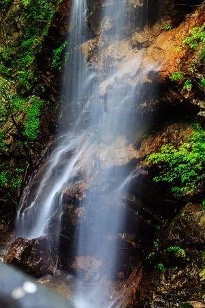 SS2722高速钢在塑性加工